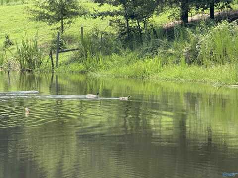 25.63 Brothers Road, Albertville, AL 35951