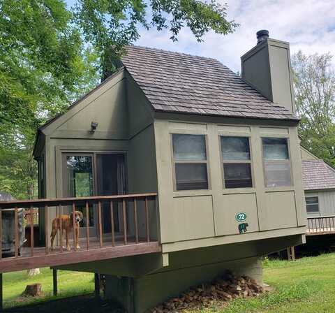 72 Red Squirrel Run, Davis, WV 26260