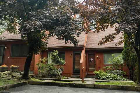 4 pendletonheim Circle, Davis, WV 26260