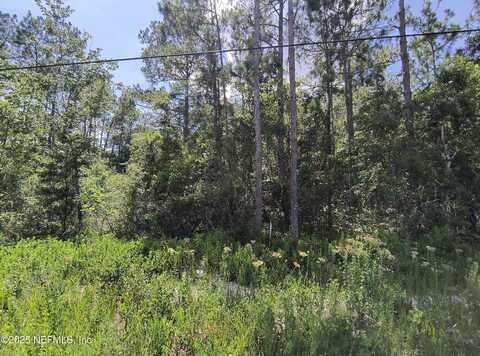10505 DELGADO Avenue, Hastings, FL 32145