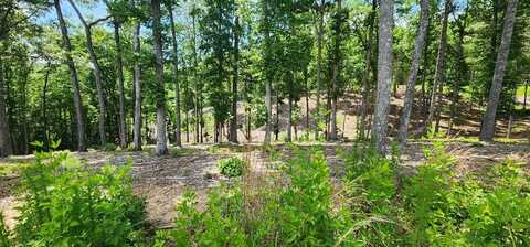 Lt 106 Split Creek Road, Morganton, GA 30560