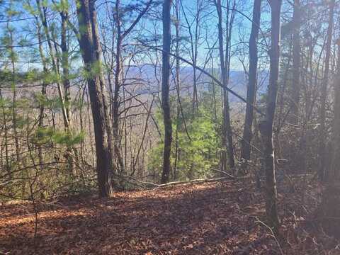 Blalock Road, Turtletown, TN 37391
