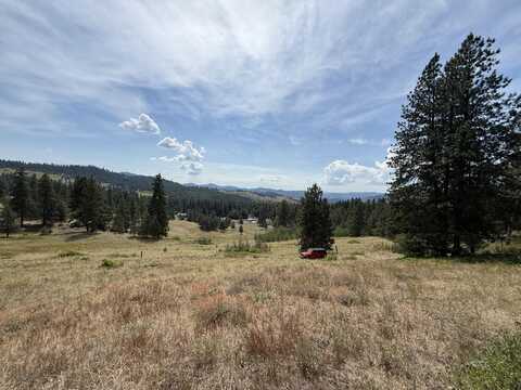 TBD SETH LN, REPUBLIC, WA 99166