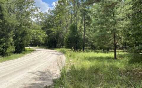 162ND TER, Mc Alpin, FL 32062