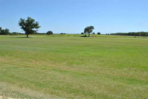 Tbd Olive, Proctor, TX 76446