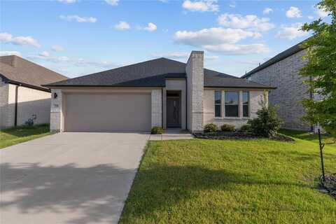 354 Waters Ridge Drive, Lavon, TX 75166
