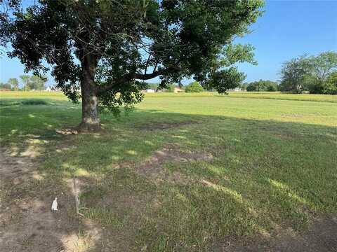 0 LBJ Ranch Road, Trinidad, TX 75163