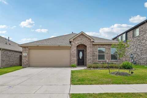 1128 Nighthawk Trail, Alvarado, TX 76009