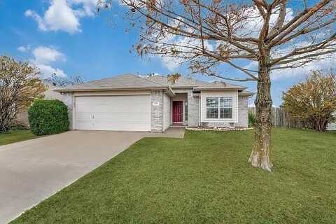 217 Falling Leaves Trail, Royse City, TX 75189