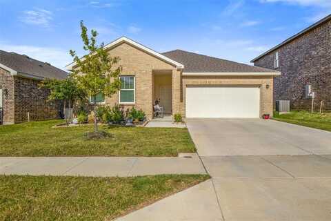 10357 Rosegreen Lane, Fort Worth, TX 76036