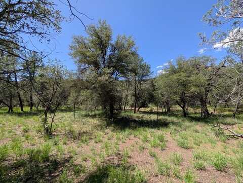 310 &312 Limpia Canyon Trail, Fort Davis, TX 79734