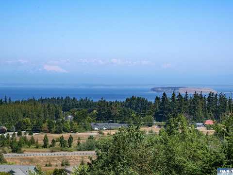 310 Solana Parkway, Sequim, WA 98382