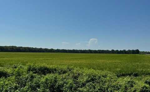 000 Senning Loop, Humphrey, AR 72073
