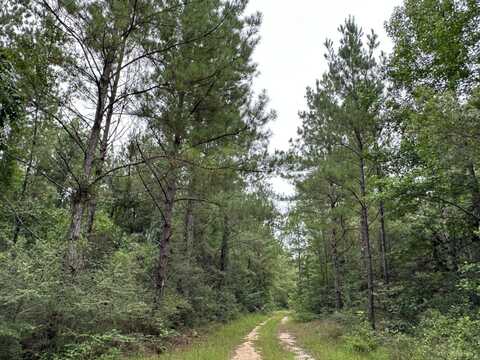 0 Babe Fairley Road, Wiggins, MS 39577