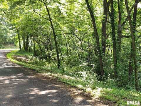 0 W BRISTOL HOLLOW Road, Dunlap, IL 61525