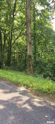 0 W BRISTOL HOLLOW Road, Dunlap, IL 61525