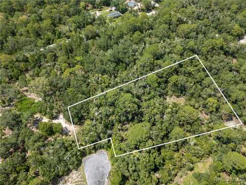 9315 N Cereus Way, Crystal River, FL 34428