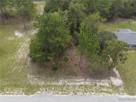 9209 N Athens Drive, Citrus Springs, FL 34433