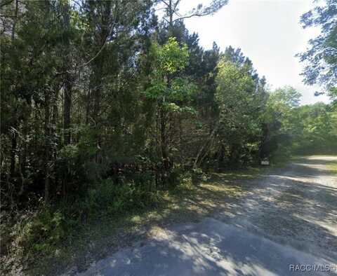 8696 W Faust Lane, Homosassa, FL 34448