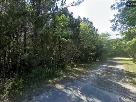8696 W Faust Lane, Homosassa, FL 34448
