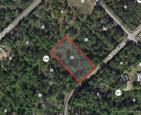 9822 N Bonsai Avenue, Crystal River, FL 34428