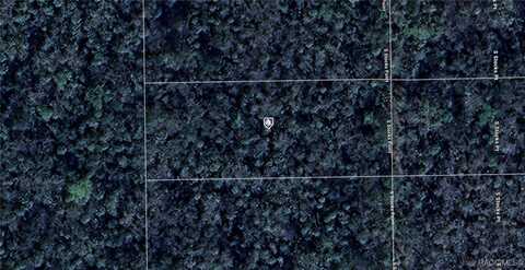 402 S Stocks Point, Crystal River, FL 34429