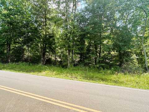 Tract 3 Pleasant Hill Road, Ten Mile, TN 37880