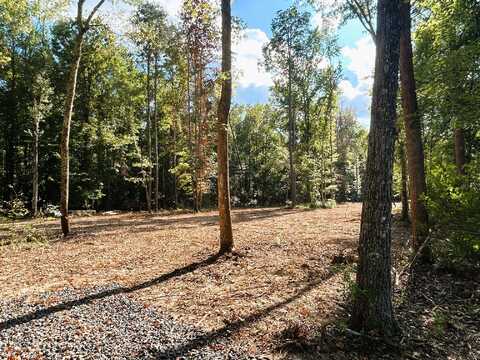 Tract 3 Pleasant Hill Road, Ten Mile, TN 37880