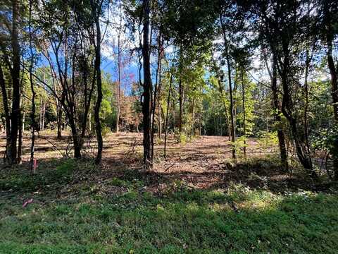 Tract 1 Pleasant Hill Road, Ten Mile, TN 37880