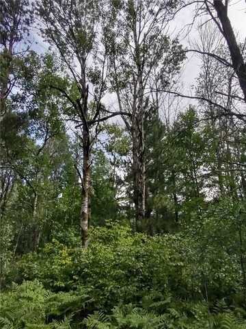 159th Avenue, Sebeka, MN 56477