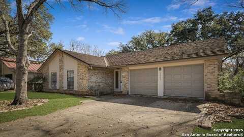 14002 TANGLE TREE, San Antonio, TX 78247