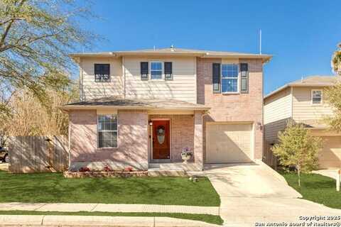 16115 Branching Oaks, San Antonio, TX 78247