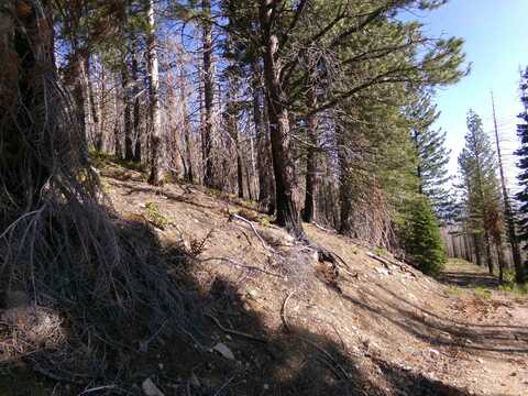 XOX 43N33, Weed, CA 96094
