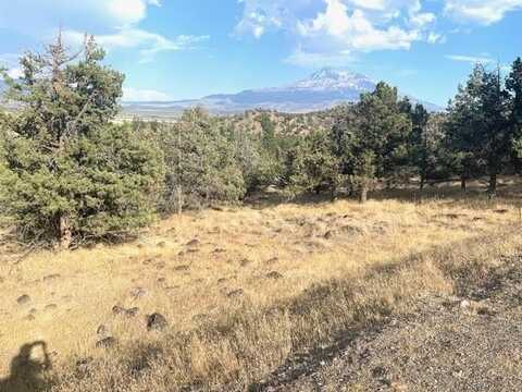 Unit 9-1 Lot112 Lake Shastina, Wildhorse Rd, Weed, CA 96094