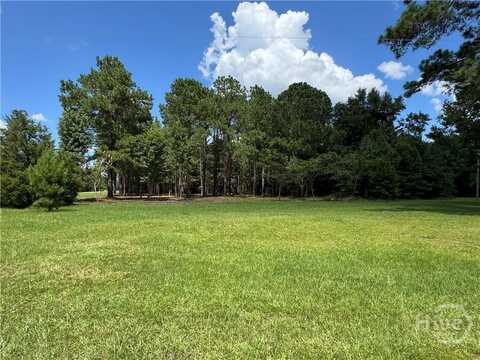 0 Reedsville Road, Clyo, GA 31303