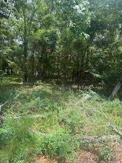1446 Litzler Drive, Manning, SC 29102