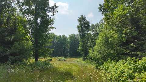3.38 Acres County F Road, Antigo, WI 54409