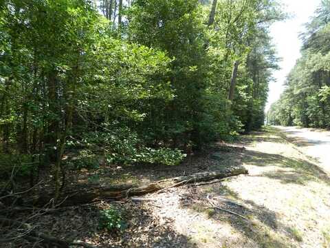 Lot B6 SALTWORKS RD, JAMESVILLE, VA 23398