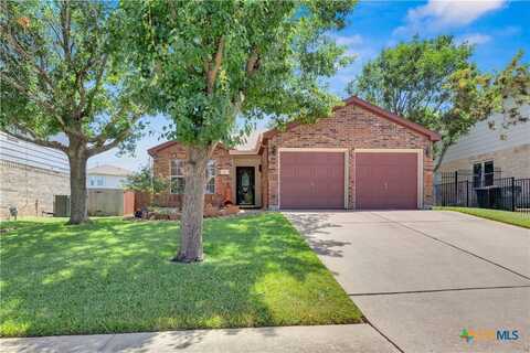 917 Twisted Fence Drive, Pflugerville, TX 78660