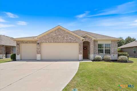 178 James Adkins Drive, Kyle, TX 78640
