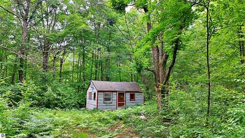 2093 N 47 Road, Manton, MI 49663