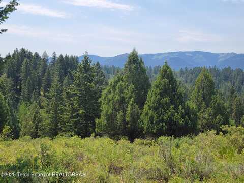 L61 B4 CUTTHROAT RUN, Irwin, ID 83424