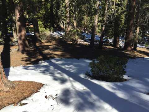 57955 Summit Drive, Ponderosa, CA 93265