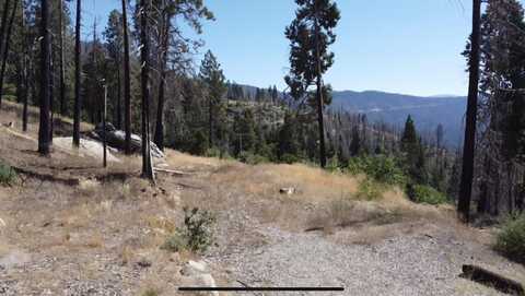 52762 Redwood Drive, Camp Nelson, CA 93265