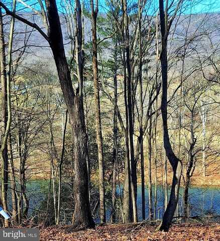 LOT 10 KAUFFMANS MILL ROAD, LURAY, VA 22835