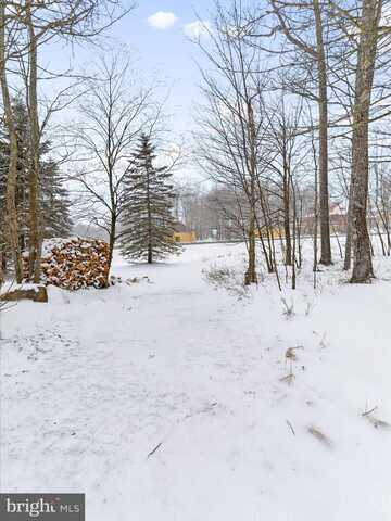 Lot 32 SNOWSHOE COURT, MC HENRY, MD 21541