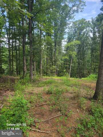 2.010 AC LOT 33, AUGUSTA, WV 26704