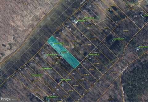 1294 GOLLIDAY LANE, GREAT CACAPON, WV 25422