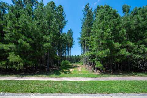 247 Larkington Drive, Siler City, NC 27344