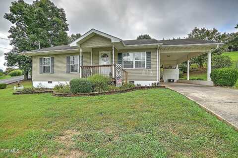 503 Cedar Street, Mount Carmel, TN 37645